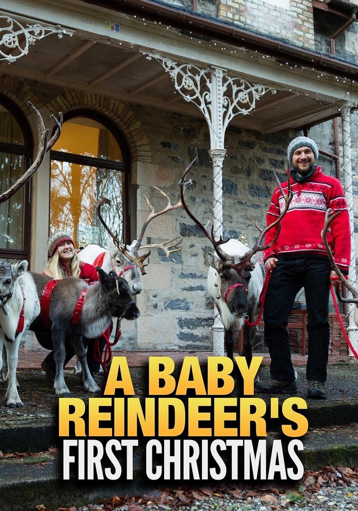 A Baby Reindeers First Christmas.{format}